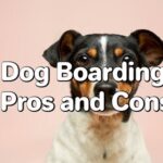 Dog Boarding Pros and Cons