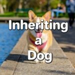 Inheriting a Dog