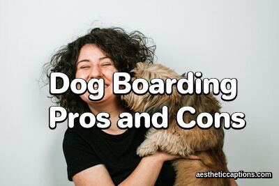 Dog Boarding Pros and Cons