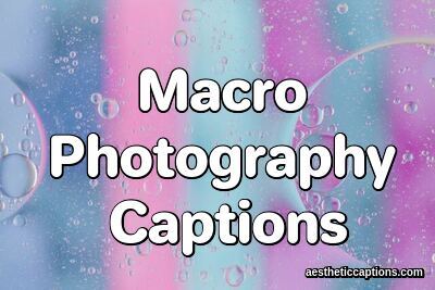 Macro Photography Captions